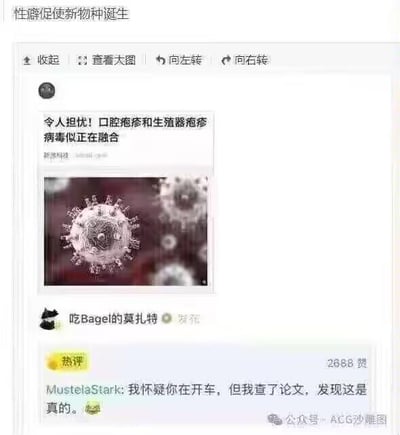 这是一张社交媒体截图，顶部配有标题“性癖促使新物种诞生”，下方是微博用户“吃Bagel的莫扎特”发布的内容，标题为“令人担忧！口腔疱疹和生殖器疱疹病毒似正在融合”，并附带一张疱疹病毒的显微示意图。热评区用户“MustelaStark”留下评论“我怀疑你在开车，但我查了论文，发现这是真的。”，这里运用了网络热词“开车”的双关梗：“开车”通常指暗示低俗内容、说荤段子，两种疱疹病毒的名称和传播途径容易让人产生低俗联想，但实际上这是真实的科研相关资讯，评论的内容形成了“以为是玩梗，结果是真新闻”的反差搞笑效果。