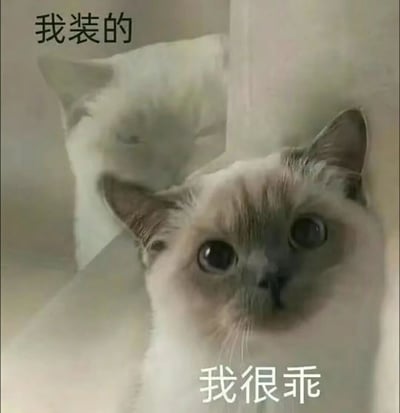 图片展示了两只猫咪，前景的猫咪睁着大大的无辜眼睛直视镜头，配上文字"我很乖"，而背景的猫咪则呈现出慵懒半闭眼的表情，左上角配有文字"我装的"。这种前后对比和文字搭配形成了幽默效果，暗示表面乖巧实则不然的反差萌。