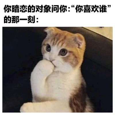 这是一张幽默的表情包，上方配有文字"你暗恋的对象问你:'你喜欢谁'的那一刻:"，下方是一只苏格兰折耳猫用爪子捂住嘴的照片。猫咪的表情和动作生动地表现了当暗恋对象突然问自己喜欢谁时的紧张、尴尬和不知所措的心情，非常形象地捕捉了那种想说出真相又害怕被拒绝的矛盾心理。