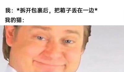 这是一张充满共鸣感的宠物主题搞笑梗图，采用图文结合的形式呈现。上方用文字分两行描述场景：第一行模拟主人的行为“我：*拆开包裹后，把箱子丢在一边*”，第二行引出猫的反应“我的猫：”，下方搭配一张男性人脸特写表情包，该男性嘴角上扬，露出一脸窃喜、心满意足的微笑，精准地将猫看到被丢弃的快递箱时，那种终于获得心仪“专属玩具”的开心、兴奋又有点暗自得意的心态拟人化表现出来，完美契合养猫人群普遍经历过的“猫咪对快递箱的喜爱远超新玩具”的日常趣事，让人会心一笑。