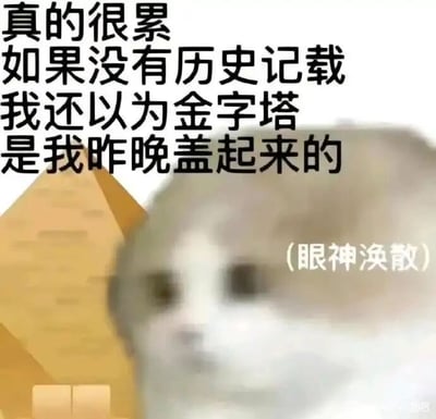 这是一张用于抒发疲惫情绪的网络表情包，属于图文混排的静态表情素材图。画面主体是一只眼神涣散、面部模糊的猫咪，背景搭配了古埃及金字塔的图案，用以强化文案的夸张感。图中的文字内容分为两部分，上方是吐槽式的文案“真的很累 如果没有历史记载 我还以为金字塔是我昨晚盖起来的”，在猫咪脸部右侧标注了“（眼神涣散）”，精准点出猫咪的状态。该表情包用极度夸张的手法，将日常的疲惫感和建造金字塔这种浩大且艰巨的工程绑定，生动形象地表达出人物身心俱疲、累到精神恍惚的状态，常用于在社交聊天中吐槽工作、生活带来的过度劳累。