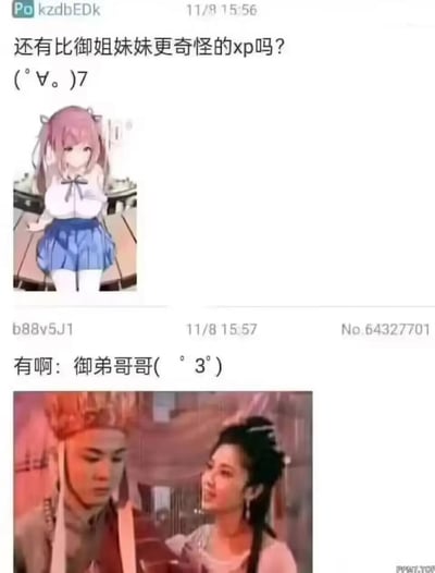 这是一张社交媒体对话截图，包含两条连续的帖子。第一条帖子由用户kzdDbEDk于11月8日15:56发布，内容为“还有比御姐妹妹更奇怪的xp吗？(°∀°。)7”，并附带一张粉色头发、穿着蓝白校服的动漫女孩图片。第二条帖子由用户b88v5J1于15:57回复：“有啊：御弟哥哥( °3°)”，附带一张古装剧截图，图中两人身着传统服饰，疑似唐僧与女性角色互动场景。
图片中存在谐音梗和文化梗：“御姐”与“御弟”形成对比，“御弟”源自《西游记》中对唐僧的称呼“御弟哥哥”（如女儿国国王对唐僧的称呼），通过这种反差制造幽默效果。