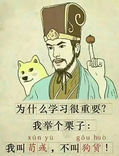 这是一张图文混排的静态卡通图，画面主体是三国历史人物荀彧的卡通形象，他头戴汉代样式的官帽，表情严肃略带不满，左手食指竖起，指尖顶着一个类似栗子的物体；在荀彧的身后，有一个经典柴犬表情包形象探出头，面带微笑。图片下方配有递进式文字：首先提出问题“为什么学习很重要？”，接着以“我举个栗子：”过渡，同时标注了“荀彧（xún yù）”和“狗货（gǒu huò）”的读音，最后用“我叫荀彧，不叫狗货！”点明核心内容。该图利用“荀彧”与“狗货”的谐音关系制造笑点，幽默地强调学习文化知识、正确认识历史人物名字的重要性，避免因不识汉字而闹出错认名字的笑话。
