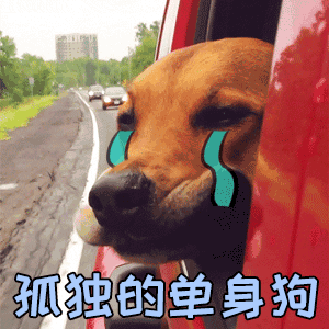 孤独的单身狗 车窗流泪动态表情包