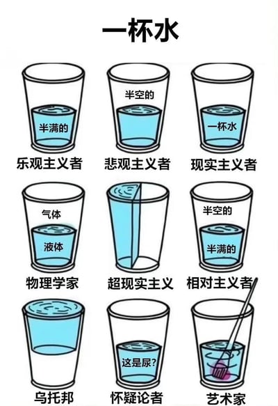 这张梗图展示了九个不同视角下对一杯水的看法，包括乐观主义者、悲观主义者、现实主义者、物理学家、超现实主义者、相对主义者、乌托邦、怀疑论者和艺术家。每个视角通过玻璃杯中的水的状态和文字标签来幽默地表达不同的思维方式。