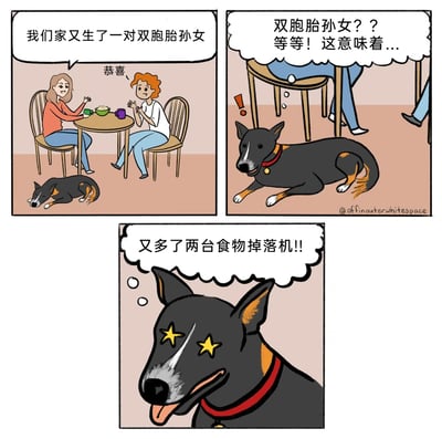 这是一则三格连环卡通漫画，以狗狗的独特视角制造幽默笑点。第一格中，左边的女士坐在桌前，笑着对右边女士说“我们家又生了一对双胞胎孙女”，右边女士抬手回应“恭喜、”，此时地面上的狗狗正趴着熟睡；第二格中，听到消息的狗狗突然惊醒，睁大眼睛，心里疑惑“双胞胎孙女？？等等！这意味着...”；第三格揭晓狗狗的真实想法：“又多了两台食物掉落机!!”，狗狗眼冒星星，兴奋不已，将年幼的双胞胎孙女拟人化为会掉落食物的“机器”，用宠物的视角展现了充满反差感的搞笑日常。