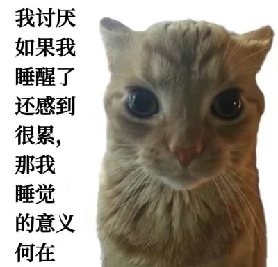 一只表情困惑的橘猫特写，眼睛瞪得很大直视镜头，左侧配有文字：'我讨厌如果我睡醒了还感到很累，那我睡觉的意义何在'。这张图片通过猫咪拟人化的表情和文字，幽默地表达了人们睡醒后依然感到疲惫的常见生活体验和内心疑惑。