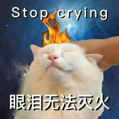 图片中一只白色猫咪双眼紧闭，脸颊上挂着晶莹的泪珠，正伤心哭泣。猫咪头顶却燃烧着一团明亮的火焰，一只手温柔地抚摸着它的头部。图片上方有英文文字“Stop crying”，下方配有中文文字“眼泪无法灭火”，背景是深邃的蓝色宇宙星空。画面通过猫咪流泪与头顶火焰的矛盾场景，结合文字形成幽默效果，暗示眼泪无法扑灭火焰，营造出荒诞又搞笑的氛围。