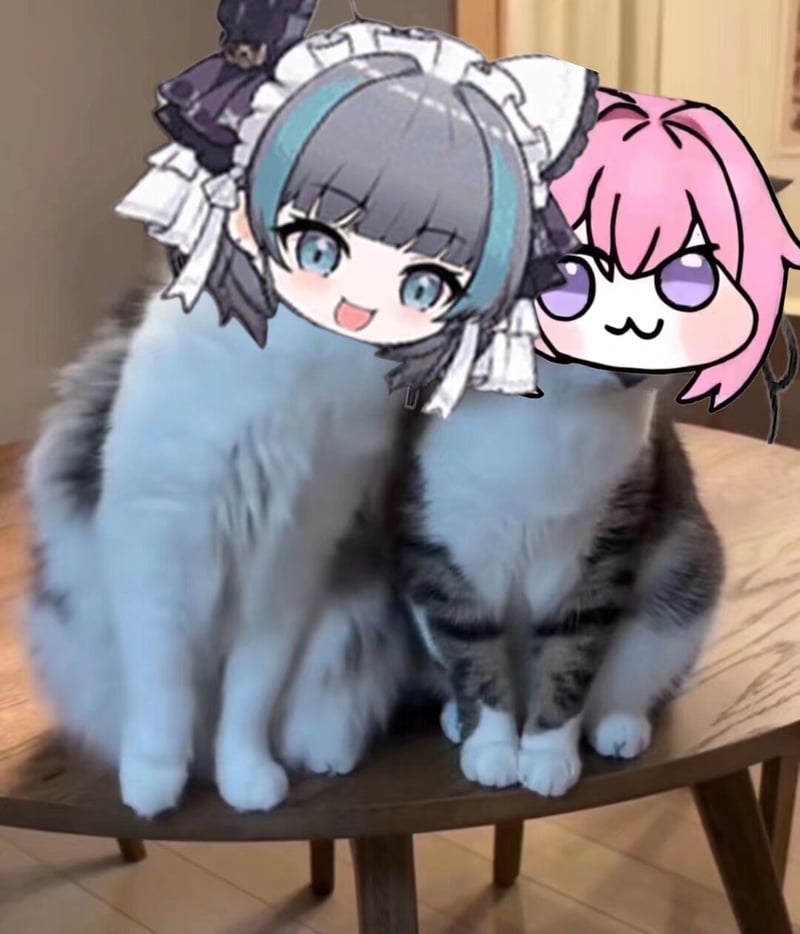 Doro meme：猫咪身体拼贴女仆与粉发角色头