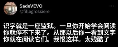 这是一张社交媒体截图，背景为黑色，上方显示用户头像、名称“SadeVEVO”及账号“@fillegrossiere”，下方是白色文字内容：“识字就是一座监狱。一旦你开始学会阅读你就停不下来了。从那以后你一看到文字你就在阅读它们。我恨这样。太残酷了”。内容以幽默吐槽的方式表达了学会阅读后对文字无法自控的无奈感受，认为识字反而成了一种“束缚”。