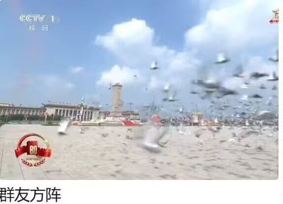 画面显示CCTV1综合频道播出的广场场景，蓝天白云下大量鸽子在地面和空中飞舞，背景可见人民英雄纪念碑及周边建筑。左下角有红色80周年纪念标志，图片底部叠加白色文字“群友方阵”。