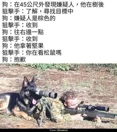 这是一张经过P图改编的静态单图，采用图文混排的形式呈现搞笑内容。画面下半部分是合成的户外场景：一只德国牧羊犬军犬趴在地面上，将脸凑在三脚架支撑的望远镜前端，仿佛正在执行观察目标的任务，它吐着舌头，神态放松；旁边是一名身着迷彩作战服的狙击手，正趴在地上，手持带瞄准镜的狙击枪，专注地瞄准前方。画面上半部分是搭配的对话文本，模拟军犬与狙击手的任务沟通流程：军犬先是向狙击手报告“在45公尺外发现嫌疑人，他在树后”，随后描述嫌疑人是“棕色的”，还指挥狙击手“往右边一点”，最后提到“他拿着坚果”，狙击手这才反应过来军犬观察的根本不是任务目标，而是松鼠，于是反问“你在看松鼠吗”，军犬随即回复“抱歉”。整个内容通过将军犬的工作场景与它关注的普通小动物进行错位结合，制造出荒诞的反差感，从而产生搞笑效果，没有双关或谐音梗，纯粹是场景和对话的反差笑点。