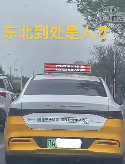 这是一张经过P图改编的实拍照片，画面主体是一辆挂着辽A绿色牌照的沈阳出租车，车尾贴有极具整活感的搞怪贴纸，内容为“我是牛子精灵 催我让你牛子变小”，用低俗趣味的玩笑话调侃催车的乘客；图片上方还叠加了黄色的调侃文字“东北到处是人才”，以此凸显东北人的幽默整活能力，整体风格搞笑又接地气。