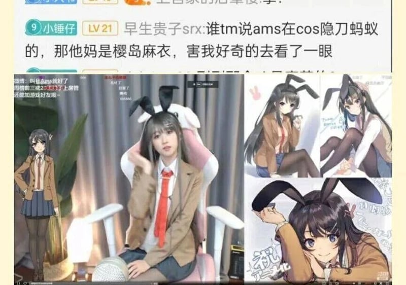 DOTA2相关直播