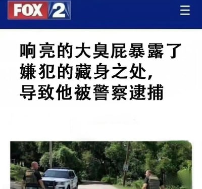 这是一张新闻截图，标题为“响亮的大臭屁暴露了嫌犯的藏身之处，导致他被警察逮捕”。图片上方有FOX 2的新闻标志，下方配有一张现场照片，显示两名警察站在警车旁，背景是树木茂密的区域。整个画面呈现出一则因意外情况导致嫌犯被捕的趣味新闻内容。
