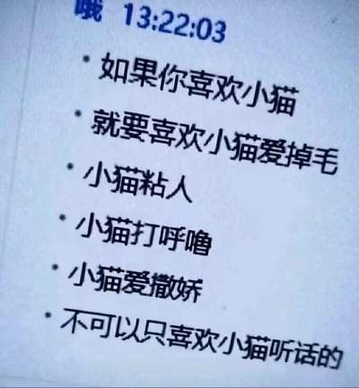 这是一张微信聊天记录的屏幕截图，顶部显示发送者昵称“哦”以及发送时间13:22:03，下方是一段关于养猫的感悟文字：“如果你喜欢小猫，就要喜欢小猫爱掉毛、小猫粘人、小猫打呼噜、小猫爱撒娇，不可以只喜欢小猫听话的”，这段内容传递出爱宠物就需要接纳其全部特质，不能只接受符合期待的部分的理念，是养猫爱好者对养猫心态的一种抒发。