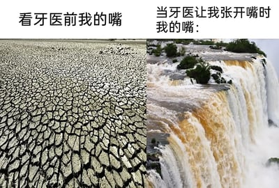 该梗图分为左右两格，通过极端对比手法展示在去看牙医前后嘴巴的不同状态：左边是干裂的土地，代表“看牙医前我的嘴”（很干，没口水），右边是瀑布倾泻而下的场景，代表“当牙医让我张开嘴时我的嘴”（口水止不住地流出来）。这种对比用视觉化极致的方式，幽默表达了看牙时大家常见的困境。

本图为夸张形象对比，属于典型“情景反转梗”，有明显的体验共鸣感和轻微夸张成分，没有明显双关、谐音梗或暗示成分。