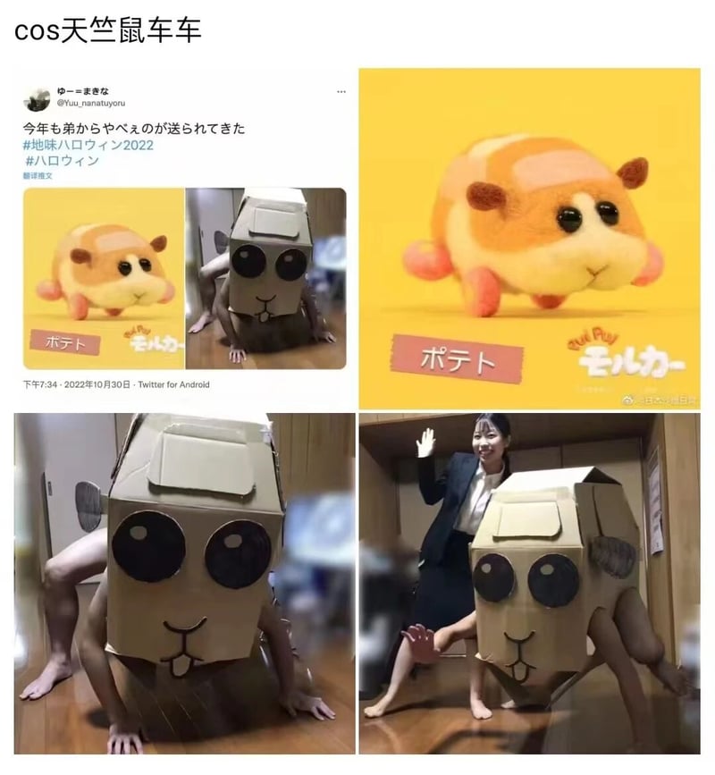 Pui Pui Molcar