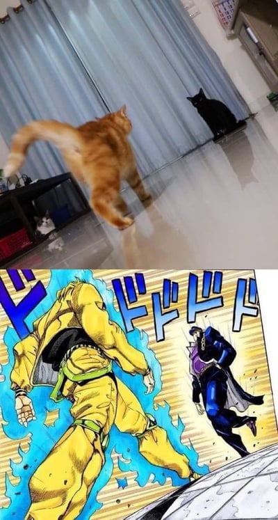 图片分为上下两部分。上半部分是现实场景，一只橘猫正昂首阔步走向一只静坐的黑猫，背景是居家环境，窗帘和地板清晰可见。下半部分是动漫《JoJo的奇妙冒险》的经典场景，两个穿着黄色和蓝色服装的角色摆出对峙姿势，周围有动感线条和拟声词特效。

通过将普通猫咪对峙的日常场景与动漫中紧张激烈的战斗场面并置，形成幽默对比，展现了“现实vs动漫夸张表现”的搞笑效果。