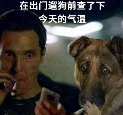 图片中左侧是一名表情震惊的男子，嘴里叼着烟，正低头看着手中的手机；右侧是一只同样表情震惊的狗，前爪也夹着一根烟，模仿人类的姿势看向手机。图片顶部配有文字“在出门遛狗前查了下今天的气温”。通过拟人化的手法和夸张的震惊表情，幽默地表现出查看气温后可能因天气极端而产生的意外反应。