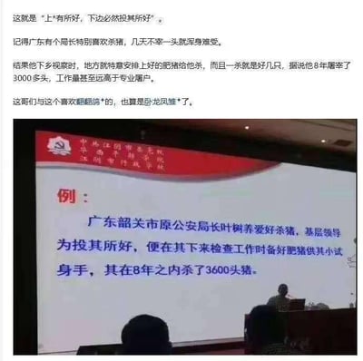 暂无描述