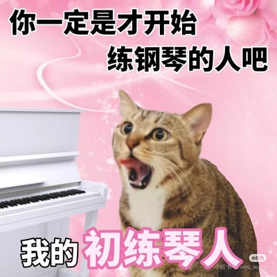 这是一张搞笑猫咪梗图，主角是一只张嘴惊讶的猫和一架白色钢琴。配合大字文案“你一定是才开始练钢琴的人吧 我的初练琴人”，画面粉嫩浪漫，表情包用来调侃初学者常有的挣扎与尴尬。文案中的“初练琴人”谐音梗来源于“初恋情人”，用幽默形式表达对小白入门者的关怀或玩笑气氛。

谐音梗："初练琴人"与"初恋情人"谐音，适合在音乐圈或学习圈自嘲、互励。