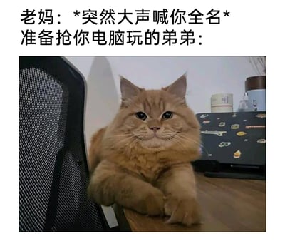 这是一张贴合家庭日常的搞笑梗图，上方配文设定了场景：老妈突然大声喊出你的全名，而此时正准备抢你电脑玩的弟弟，对应的画面是一只长毛橘猫，它趴在桌面边缘，两只前爪搭在桌上，表情紧张又强装镇定，生动还原了弟弟在老妈突然的威慑下，瞬间心虚、不敢再继续抢电脑动作的状态，用猫咪的神态精准表现出那种害怕被牵连、不敢造次的情绪，十分贴近现实家庭里的互动场景，充满趣味性。