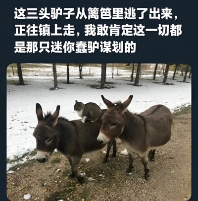 图片上方配有文字：'这三头驴子从篱笆里逃了出来，正往镇上走，我敢肯定这一切都是那只迷你蠢驴谋划的'。下方是一张实拍照片，展示了两头棕色驴子站在有积雪的户外小路上，其中一头驴子背上坐着一只灰白相间的猫。图片通过将猫戏称为'迷你蠢驴'并暗示其是逃跑事件的策划者，制造出幽默效果。