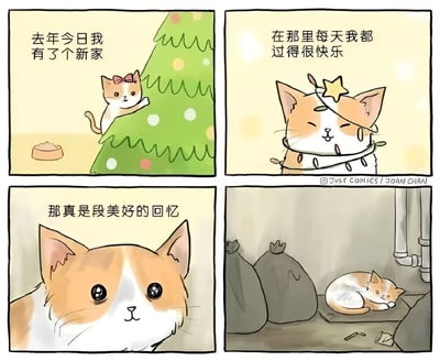 四格漫画讲述了一只橘白猫咪的故事。第一格中，戴着蝴蝶结的猫咪站在圣诞树旁，配文'去年今日我有了个新家'；第二格中，猫咪头顶星星、脖子挂着圣诞灯，闭眼微笑说'在那里每天我都过得很快乐'；第三格是猫咪的特写，眼神温柔地说'那真是段美好的回忆'；第四格画风突变，猫咪独自蜷缩在堆满垃圾袋和水管的角落睡觉，暗示了从有家到流浪的境遇变化。通过温馨回忆与现实处境的强烈对比，引发读者对流浪动物的关注和情感共鸣。