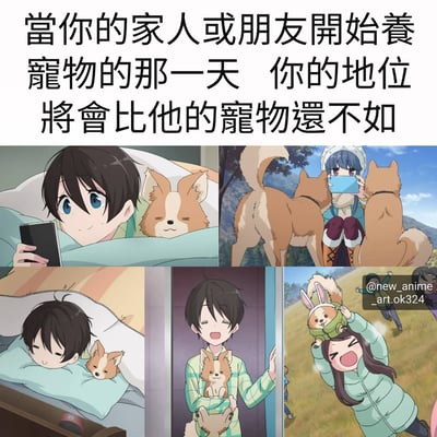 这是一张四格漫画风格的梗图，通过对比展示了当家人或朋友开始养宠物后，人的地位不如宠物的幽默场景。上排左侧图中男孩在床上看手机，旁边的狗占据了大部分床位；上排右侧图中女孩开心地和两只狗自拍；下排左侧图中男孩被挤到床边，狗占据了床中央；下排右侧图中女孩兴奋地把打扮成兔子的狗举过头顶。