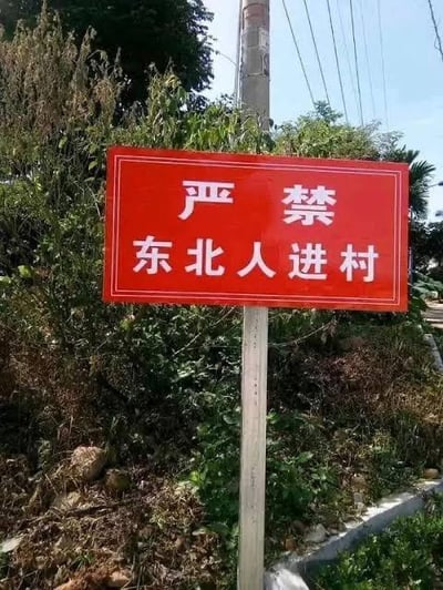 图片中展示了一个立在乡村路边的红色警示牌，上面用白色大字写着“严禁东北人进村”。背景是乡村常见的植被和电线杆，显示出这是一个户外场景。这种带有明显地域歧视性质的标语显然不是正式的官方告示，更可能是一种带有玩笑或讽刺性质的图片，利用夸张的地域刻板印象制造幽默效果。