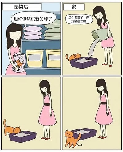 四格连环漫画描绘了养猫女子的日常趣事：第一格在宠物店，她手持印有猫咪图案的“ECO DIET”猫粮，思考“也许该试试新的牌子”；第二格在家中，她将猫粮倒入紫色食盆，对橘猫说“这个老贵了，你一定会喜欢的”；第三格橘猫嗅闻后转身离开，女子低头露出失落表情；第四格女子站在满盆猫粮旁，看着橘猫甩尾走开，满脸无奈。漫画通过对比主人的期待与猫咪的真实反应，幽默展现了宠物与主人间的“消费认知差异”。