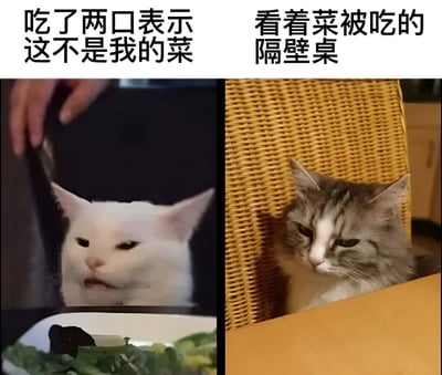 这是一张双图拼接的猫咪表情包，通过对比展现了一个有趣的社交场景。左边图中一只白猫表情不满地推开面前的食物，配文"吃了两口表示这不是我的菜"；右边图中一只灰白猫坐在餐桌旁，表情带着渴望地看着别处，配文"看着菜被吃的隔壁桌"。两张图形成鲜明对比，幽默地表现了有人挑剔食物而有人却渴望得到的有趣反差。