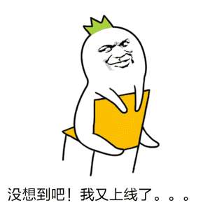 没想到吧！我又上线了