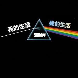 图片以黑色为背景，中央是一个白色的三角形棱镜，棱镜内部有白色文字“遇到你”。一道彩色的彩虹光谱从左侧射入棱镜，右侧射出。棱镜的左侧和右侧分别有白色文字“我的生活”。整体构图改编自平克·弗洛伊德经典专辑《月之暗面》的封面设计，通过文字与经典视觉元素的结合，表达“我的生活在遇到你之后发生了变化”的情感内涵。