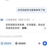 DeepSeek AI缩略图