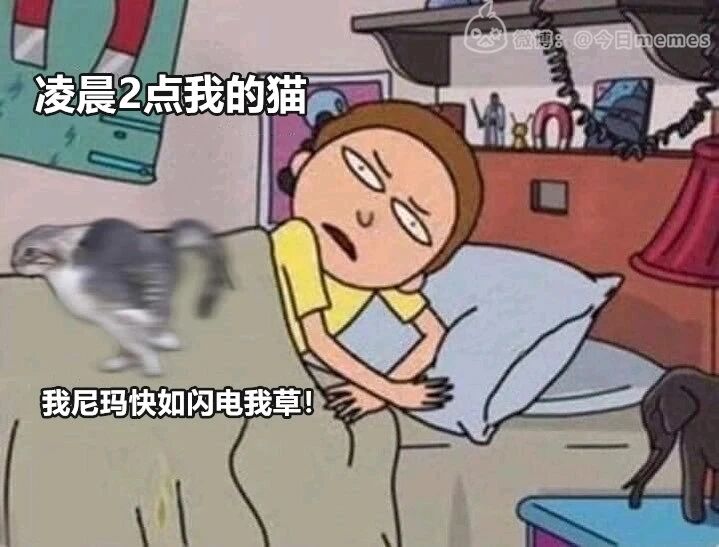 莫蒂
