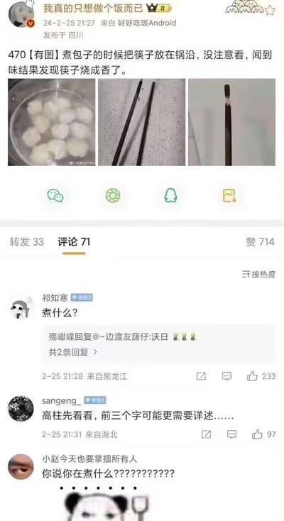 微博用户“我真的只想做个饭而已”分享自己的厨房失误：煮包子时把筷子放在锅沿，没注意导致筷子被烧糊，还调侃筷子“烧成香了”，并配上了煮包子的锅、烧糊的筷子的实拍图。没想到评论区的网友集体玩梗，故意把文案里的“煮包子”看错成“煮什么”，纷纷追问博主“你在煮什么”，关注点完全偏离筷子被烧糊这件事，形成了搞笑的互动效果。
玩梗说明：网友利用“煮包子”和“煮什么”的字形相似，故意看错，制造错位笑点。