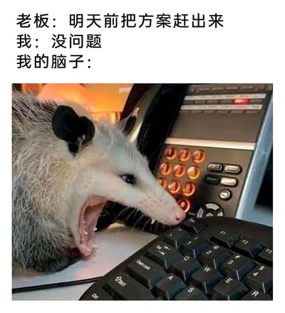 这是一张刻画职场人真实状态的图文混排梗图，上方通过三段文字构建场景：老板提出紧急工作要求“明天前把方案赶出来”，“我”表面爽快回应“没问题”，随后用“我的脑子：”引出下方的图片。图片中一只负鼠趴在办公键盘前，嘴巴大张，表情崩溃又疲惫，生动还原了打工人在面对紧急工作任务时，表面镇定答应，实则内心被焦虑、疲惫填满，濒临崩溃的真实状态，用动物的夸张表情放大了职场人的精神压力，极易引发职场群体的共鸣。