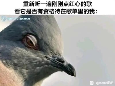 这是一张顶配底文的静态meme图，上方配有文字“重新听一遍刚刚点红心的歌 看它是否有资格待在歌单里的我：”，下方是一只面部表情严肃、眼神带着审视感的鸟类特写。这张图用拟人的方式，将鸟类较真审视的神态与自己听完刚收藏的歌曲后，严格审核该歌曲是否有资格留在歌单里的较真心态对应起来，生动地调侃了很多人在整理个人歌单时，对歌曲质量有着严格要求的日常小纠结，十分贴近大众的生活细节。