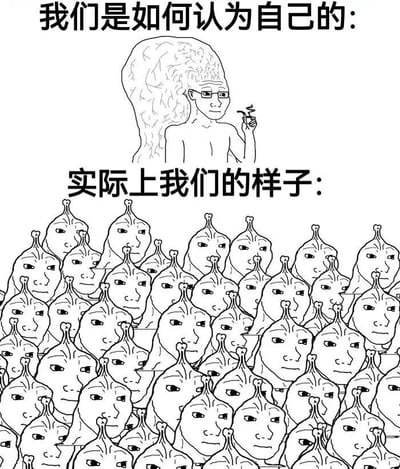 图片分为上下两部分，均为黑白线稿风格。上半部分标题为“我们是如何认为自己的：”，下方是一个头部带有复杂大脑图案的人物形象，戴着眼镜，手持小物件，表情沉思，展现出自我认知中聪明、独特的形象。下半部分标题为“实际上我们的样子：”，下方是密集排列的大量 identical 人物，头部呈 bulbous 状，面部特征简单，表情呆滞，形成自我认知与现实的鲜明对比，幽默地讽刺了人们往往高估自我独特性的现象。