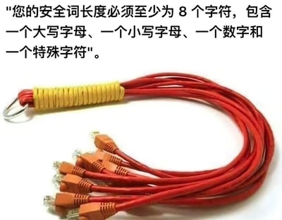 这是一张网络玩梗图，上方配文写出了当下网站常见的密码设置要求：“您的安全词长度必须至少为 8 个字符，包含一个大写字母、一个小写字母、一个数字和一个特殊字符”；图片主体是一个手工制作的钥匙圈，一端用黄色胶带缠绕，绑定金属钥匙环，另一端分出六根带水晶头的红色网线，整体玩了双关谐音梗：红色的英文是Red，其中R是大写字母，ed是小写字母，六根网线对应数字6，金属钥匙环属于特殊符号，刚好满足网站要求的密码组成规则，以此调侃吐槽当下网站对密码设置的要求刻板繁琐。