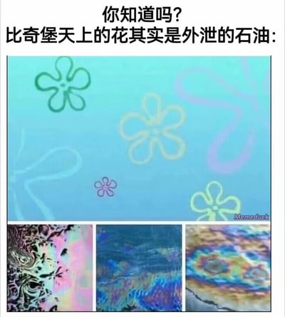 这是一张趣味玩梗迷因图，图片顶部配有文字“你知道吗？比奇堡天上的花其实是外泄的石油”；图片上半部分是动画《海绵宝宝》里比奇堡海底天空的背景，背景上带有多个五瓣花轮廓的装饰图案；下半部分拼接了三张现实中水面上外泄石油形成的彩色晕染纹理照片，这些纹理的形态、色彩和动画里的花朵图案高度相似，以此玩梗印证文字说法，制造趣味效果。