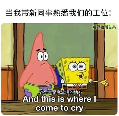 这是一张改编自动画《海绵宝宝》的职场吐槽梗图。图片顶部配有文字“当我带新同事熟悉我们的工位：”，点明了职场场景；画面中，海绵宝宝面带笑容、伸出一只手做出介绍的动作，派大星则一脸愁容地站在他身旁，画面下方配有中英文台词“这里就是我流泪的地方 And this is where I come to cry”。这张图用幽默反差的方式，将本该是正常的新同事入职熟悉环境的场景，转化为对职场压力的吐槽，把工位调侃成“让人流泪的地方”，用热情的介绍语气搭配悲伤的内容，精准戳中打工人因工作压力而对工位产生的复杂无奈情绪，极易引发职场群体的共鸣。
