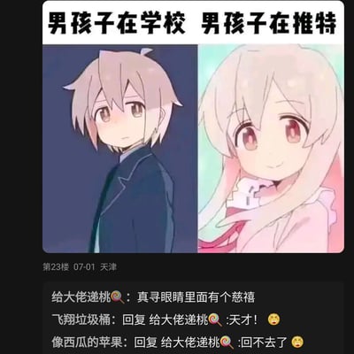 这是一张用于玩反差梗的二次创作动漫图，采用左右对比的形式，左侧是动漫《别当欧尼酱了！》中绪山真寻的男性形态，配文“男孩子在学校”，角色身着深色校服，神情拘谨低落，还原了部分男生在现实校园中内敛的状态；右侧是绪山真寻的女性形态，配文“男孩子在推特”，角色神态活泼微笑，用来调侃这类男生在网络社交平台上会展现出与现实截然不同的、更放松甚至反差的一面。图下方是论坛评论区内容，有网友发现真寻的眼睛图案形似“慈禧”二字，引发其他网友的调侃回复，进一步增添了图的趣味性。