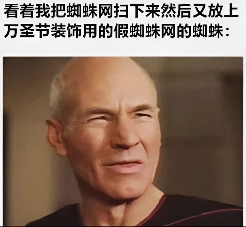 星际迷航：下一代
