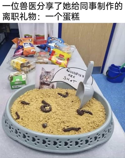 这是一张记录兽医为离职同事制作的搞怪离职礼物的静态图片。图片主体是一个做成猫砂盆样子的创意蛋糕，容器采用类似猫砂盆的浅盘，内部铺满了模仿猫砂质感的黄色食材，上面用巧克力制作成“猫屎”的造型作为装饰，还搭配了仿真小铲子道具。蛋糕旁立着一张猫咪照片，配有对话气泡，用英文写着“GOODBYES ARE SH*T”，直白又幽默地表达了不舍又搞怪的离职情绪。背景的桌子上还摆放着各类包装零食，整体场景位于兽医诊所的室内环境，氛围轻松搞怪，体现了职场同事间趣味十足的送别方式。
