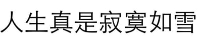 这是一张纯文字图片，背景为纯白色，中央用黑色简体中文书写着“人生真是寂寞如雪”。整体构图简洁，仅包含这句表达孤独情绪的文字，没有其他视觉元素或装饰。