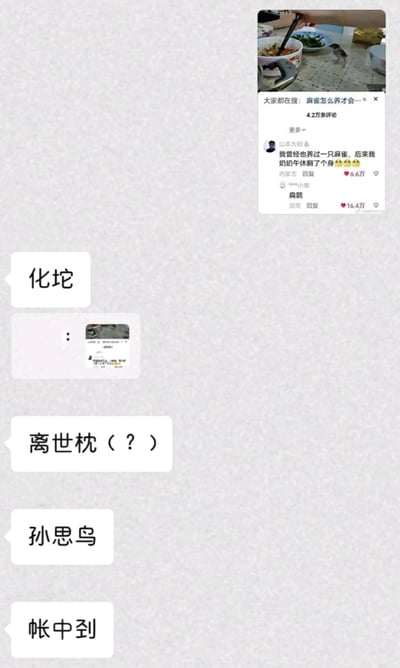 这张图片包含两部分内容：右上角是一段社交平台的热门评论截图，用户「山本大树」分享自己养的麻雀被午休翻身的奶奶压到的趣事，另有用户回复「扁鹊」，玩「扁雀（被压扁的麻雀）」的谐音梗，相关评论获得大量点赞；下方是好友聊天记录截图，聊天参与者延伸该梗，用古代名医的谐音创作内容：「化坨」对应华佗，「离世枕」对应李时珍，「孙思鸟」对应孙思邈，「帐中到」对应张仲景，整体围绕麻雀被压死的趣事展开一系列谐音玩梗，通过反差感制造趣味。