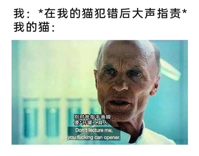 这是一张以宠物日常为主题的搞笑二次创作梗图，整体采用图文混排的形式。上方文字设定场景：主人在猫犯错后对其大声指责，引出猫的回应；中间部分使用美剧《西部世界》的真人剧照，图中演员艾德·哈里斯饰演的角色面露愤怒与不屑，嘴巴张开正处于说话状态；图中叠加了改编后的中英文台词，中文为“别对我指手画脚，傻*开罐工具人”，英文为“Don't lecture me, you fucking can opener.”。该梗图通过拟人化的手法，将猫面对主人指责时的傲娇心态具象化，猫完全无视主人的批评，反而将主人定义为只会给自己开罐头的“工具人”，用硬核回怼的方式制造出强烈的反差感，精准还原了养猫过程中主人与猫之间有趣的相处模式，充满诙谐幽默的氛围。